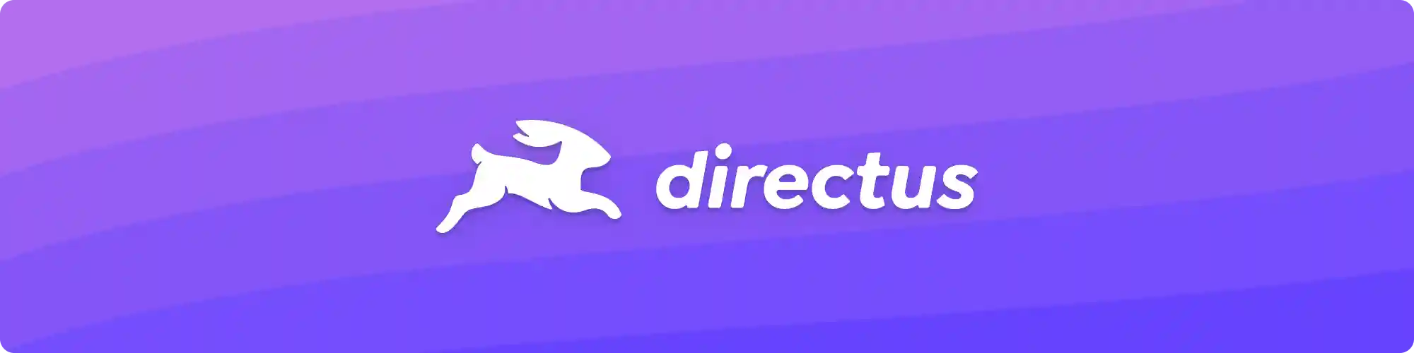 Directus Logo