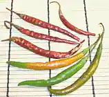 Fresh and Dried chilis