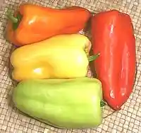 Gypsy Peppers