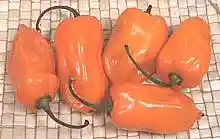 Habanero
