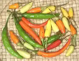 Thai Chilis
