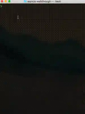 rand.py program execution