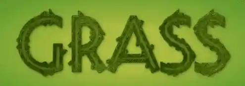 Grass example by Mandy Michael