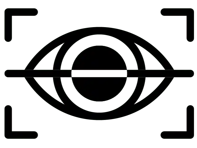 This is a black icon to represent WordPress security scanning.