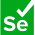 selenium development