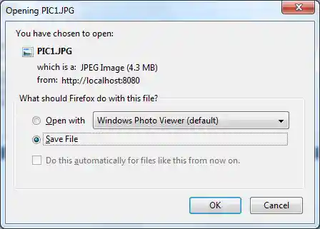 download file dialog