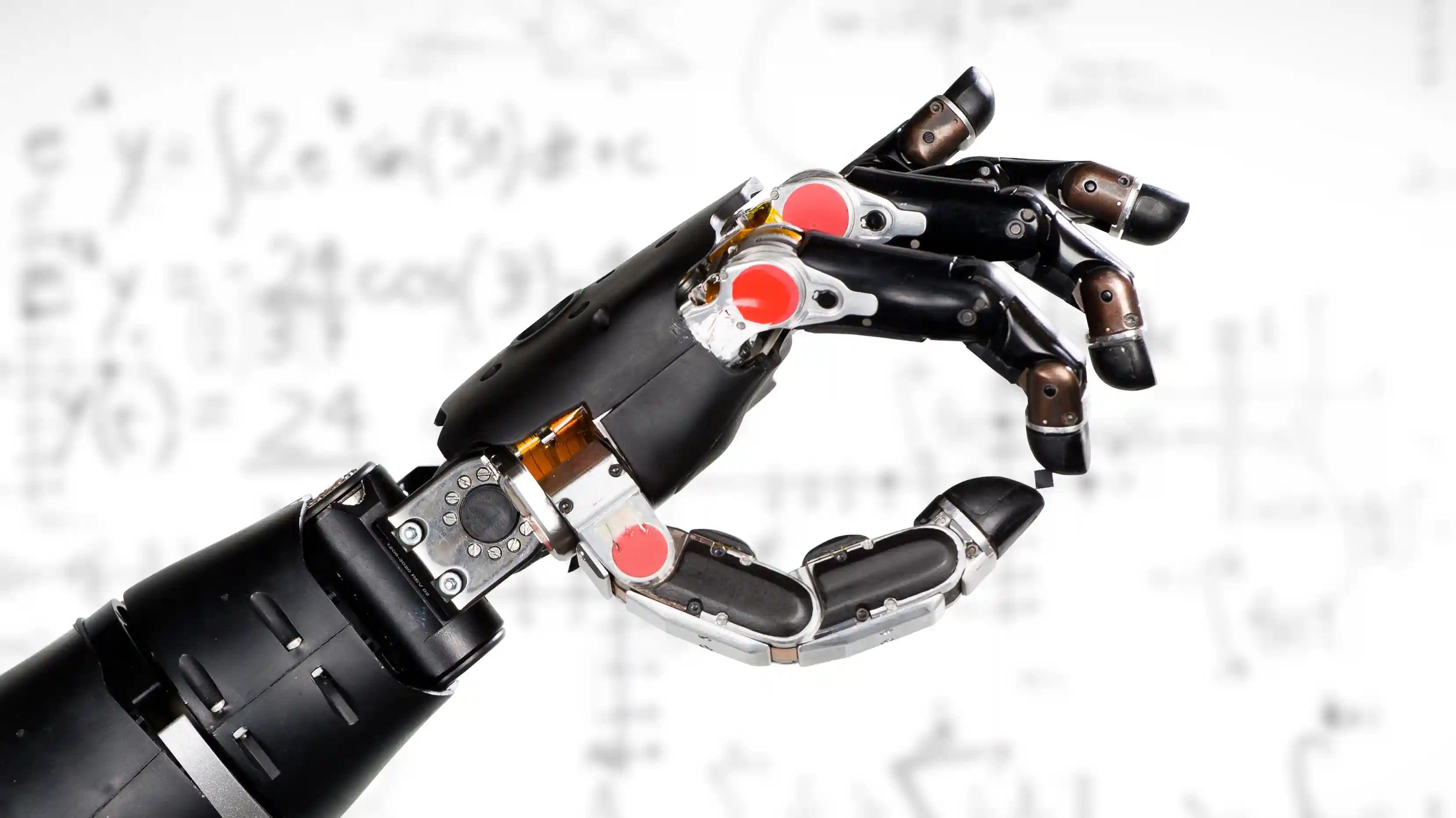 luke-arm-2024