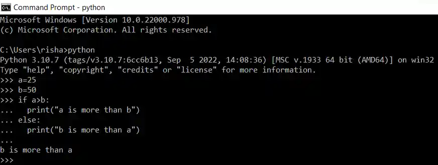 How to Run Python Scripts