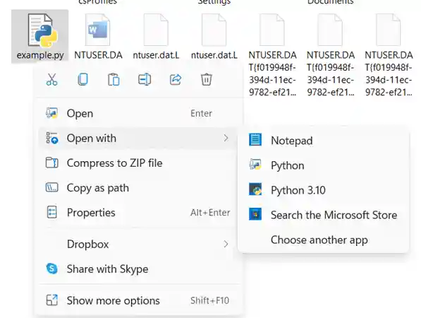 Run Python scripts using a file manager