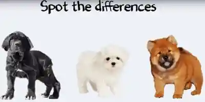 Java Classes and Objects