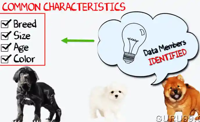 Java Classes and Objects