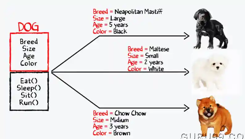 Java Classes and Objects