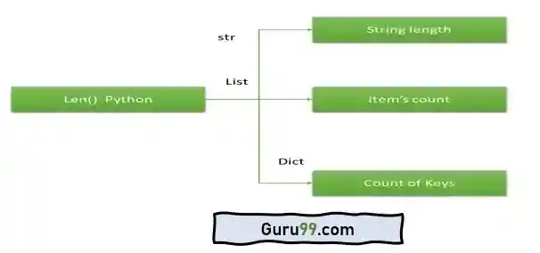 Polymorphism in Functions