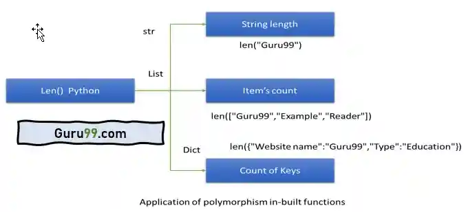 Polymorphism in Functions