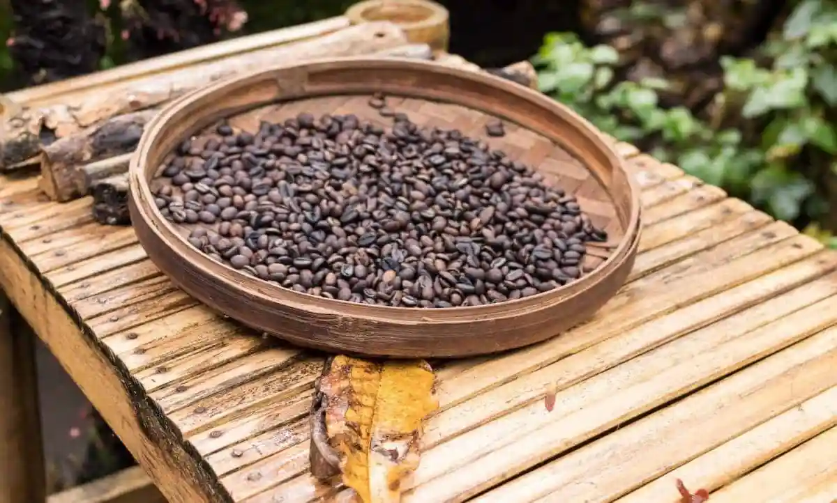 Feature image Why is coffee called Java