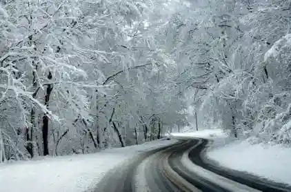 Factsheet on Risk & hazard