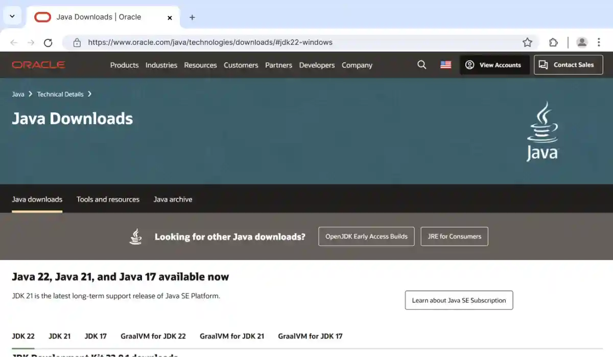 Download Java on Windows