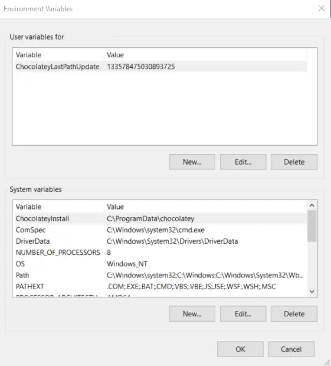 C Setting Environment Variables