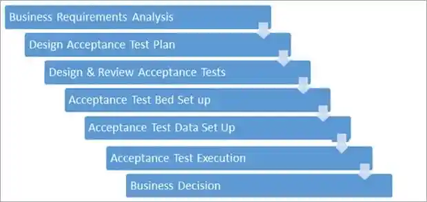 Acceptance Testing Process