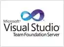 TFS Logo Version Control Software