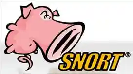 Snort Logo