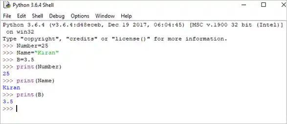 python variables example