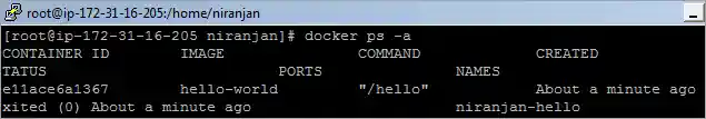 Delete the docker container
