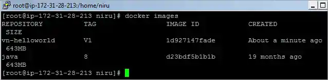 Run Docker images command