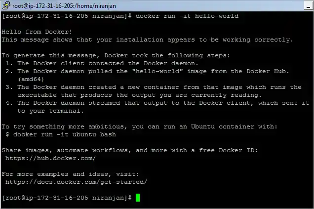 Docker Container - Run command