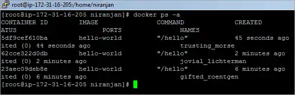 Uniquely identified Docker container