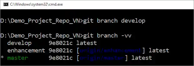 Git branch develop