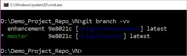 git branch-vv