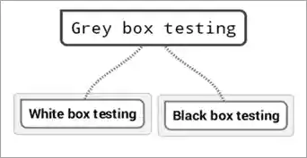 Grey box testing