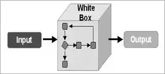 white box testing