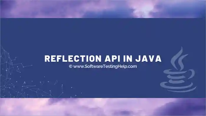 Java Reflection API