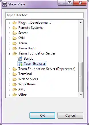 5the TFS Team Explorer