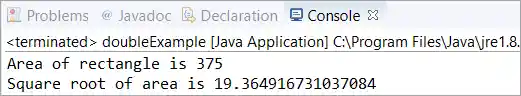 Java double example