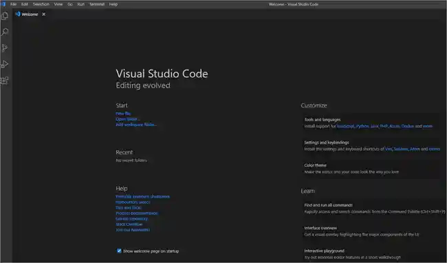VS Code gets launched