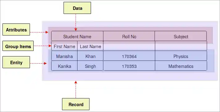 Python basic_terminology - Field