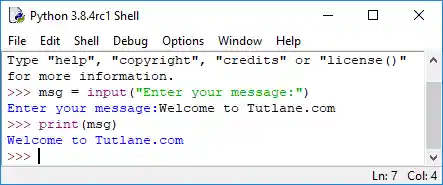 python input function to read input data