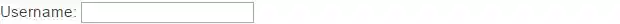 HTML Text Input Field