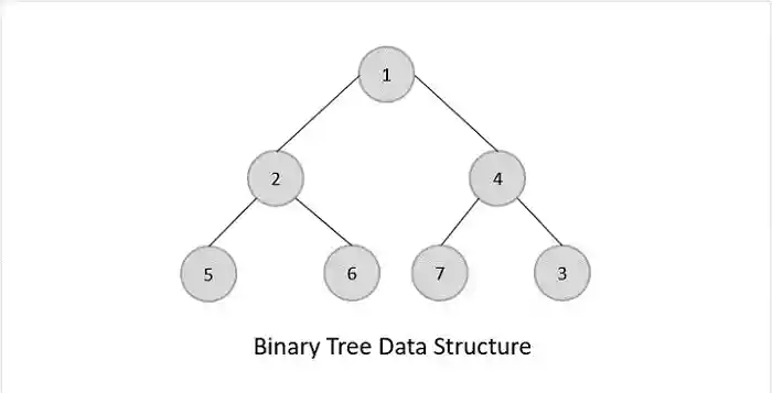 Binary Trees