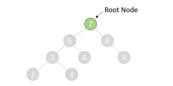 root node