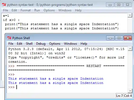 Python single space indentation