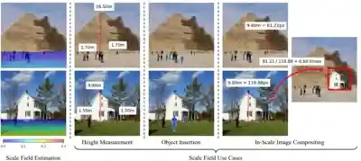 scale field thumbnail