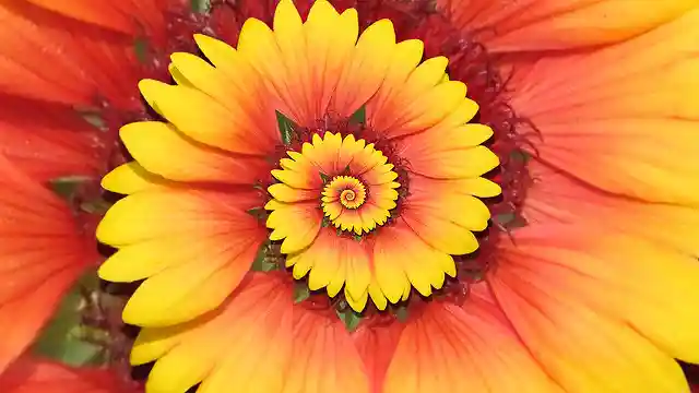 Repeating circular patterns